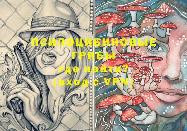 прущие грибы Краснослободск