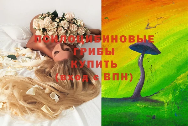 альфа пвп Красноперекопск