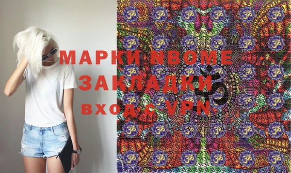 прущие грибы Краснослободск